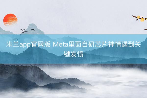 米兰app官网版 Meta里面自研芯片神情遇到关键发愤